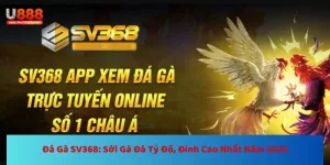 Đá Gà SV368
